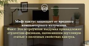 Самое разное интересное в мире